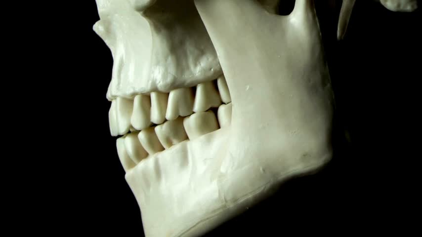 Extreme macro shot of a human skull jaw and teeth set against a dark, dramatic black background with detailed bone texture.   