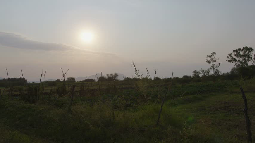 Late Afternoon Sun on Farm in Homabay, Western Kenya, with Hills in the Background