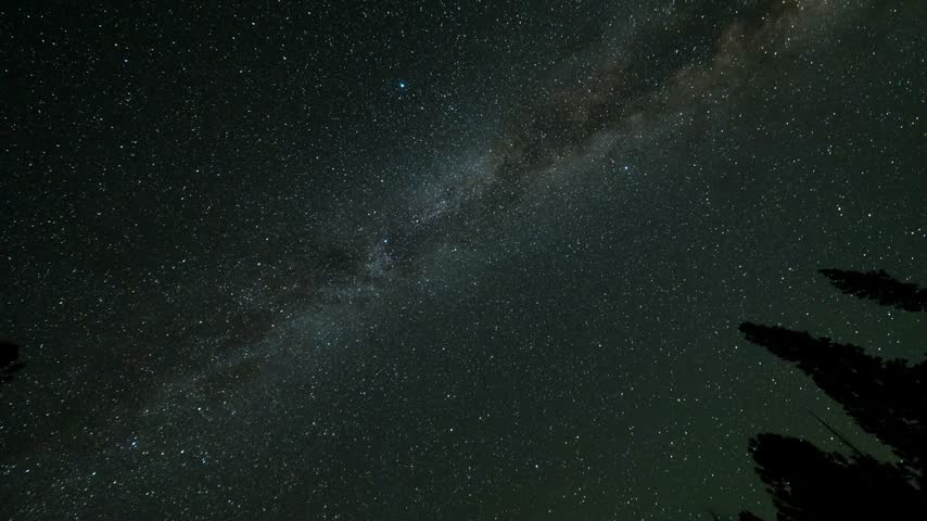 Milky way galaxy glowing brilliantly over dark evergreen tree silhouettes in a scenic nocturnal sky timelapse