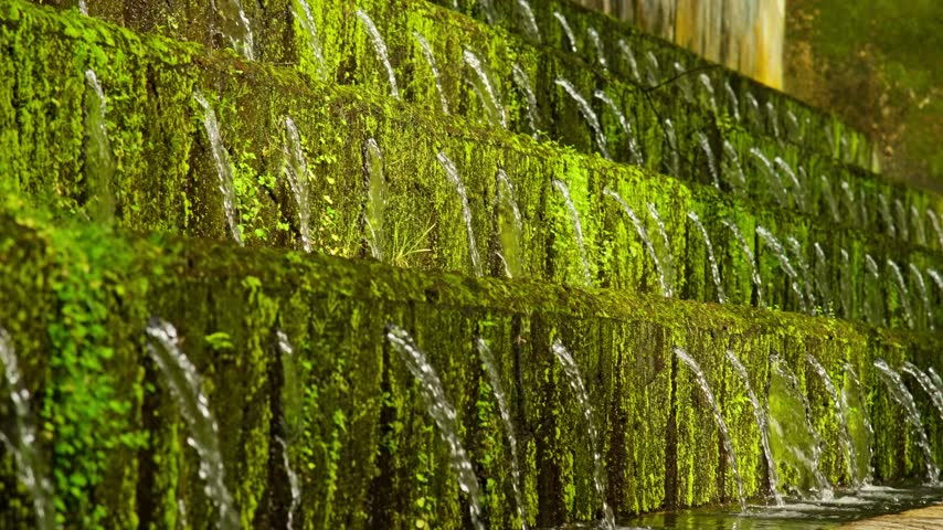 Two stepped tiers of moss and fern covered stone walls pour arcing jets of spring water into a channel at the Cupatitzio park in Uruapan, Michoacan, Mexico. Close up shot