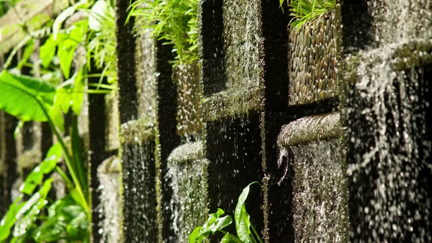 Spring water spills through the openings of an old moss covered stone weir while ferns and bright leaves catch the sunlight in the Cupatitzio park, Uruapan, Michoacan. Close up shot