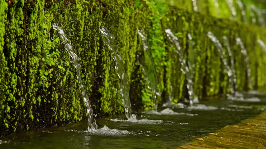 Rows of slender water jets spout from a moss covered stone wall into a clear channel at Parque Nacional Barranca del Cupatitzio in Uruapan, Michoacan, Mexico. Close up shot