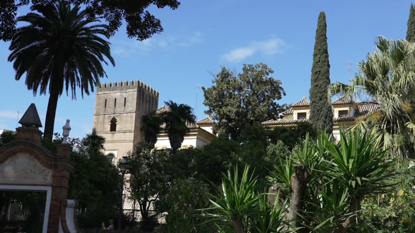 Lush green courtyard garden at Palacio de las Duenas in Seville, Spain