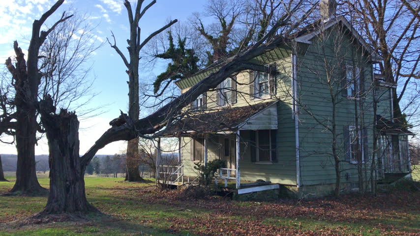 A large tree has fallen onto the roof of an old green house from the aftermath of a severe storm in Pennsylvania, USA 