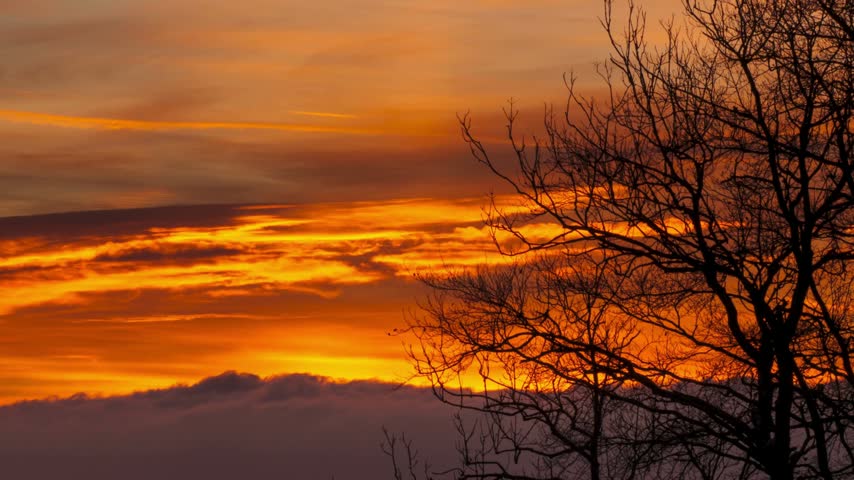 Orange clouds drift across a glowing sunset sky behind dark tree branches in a quiet forest setting during a calm evening with light natural mist