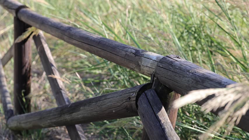 Rustic wooden fence along a countryside path with tall grass background. Traditional timber railing bordering a field under soft natural sunlight.