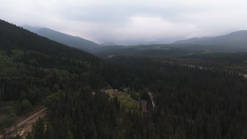Soft mist settles over a forest near Kananaskis, Alberta, drone advancing and panning above it