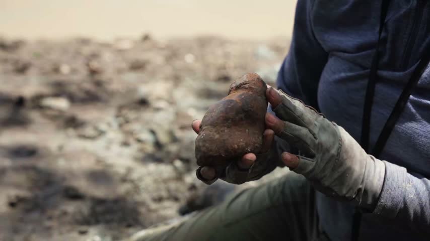 Close up detail of a scientist holding a coprolite fossil on the banks of the Amazon River in Iquitos Peru.