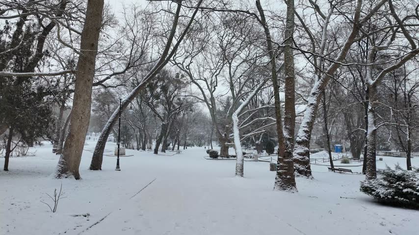 Serene Winter Landscape with a Long Snow-Covered Park Avenue, Rows of Empty Benches on Quiet Winter Day, Peaceful Snowy Pathway