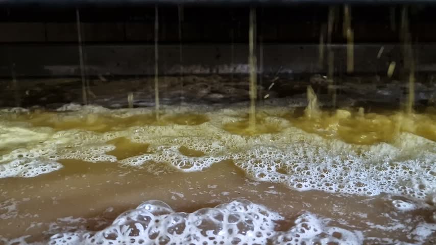 Winemaking in South Moravia, Czech Republic, showing wine filtration and the separation of solid particles from young wine during production.