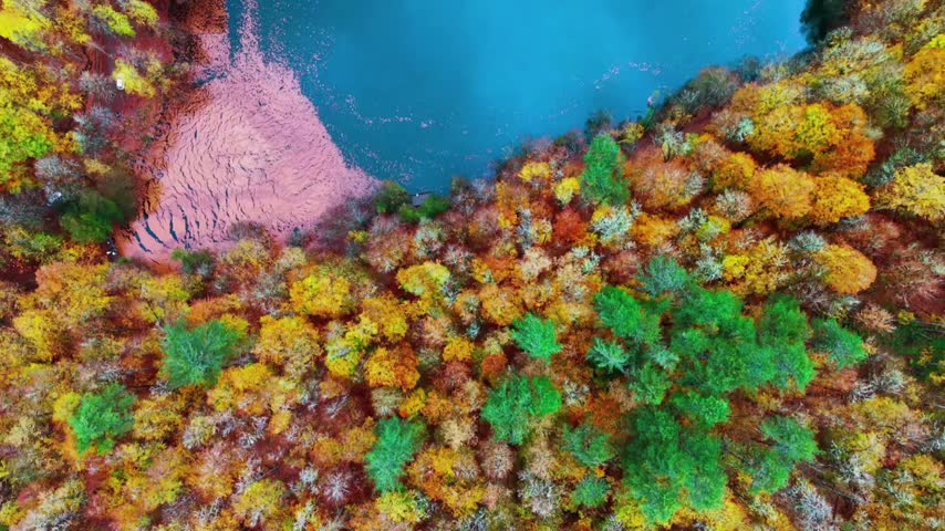 A lake with clear blue water, surrounded by a dense forest in autumn. The trees display a rich blend of colors, ranging from yellow, orange, and red to green.