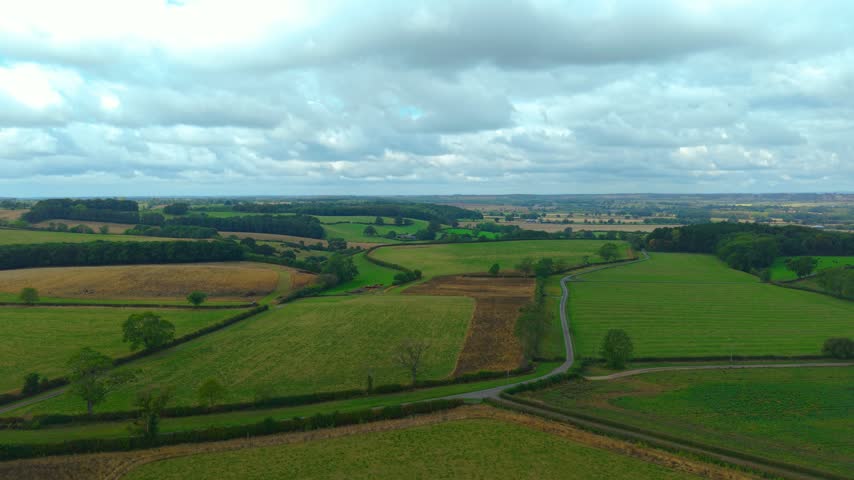 Rural farmland with winding country road between cultivated fields. Agricultural landscape of green pastures, hedgerows and scattered trees. Aerial countryside view under overcast sky with fields