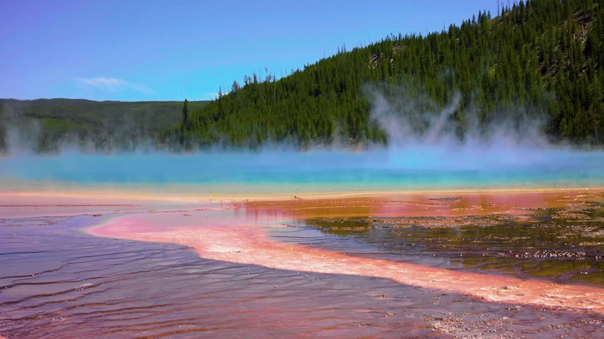 Hot water flows across vibrant mineral surfaces near green forest trees while clouds of steam rise from the blue pool on a bright sunny day