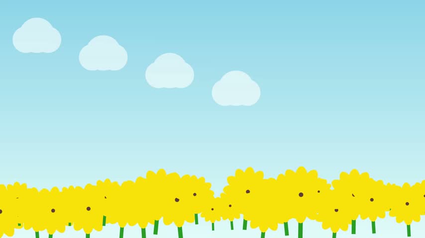 Bright yellow flowers blooming in a sunny field under a clear blue sky with fluffy white clouds