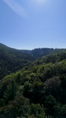 Aerial view of the Black Hills in South Dakota, USA. Coniferous forest and pine-covered mountains. Vertical video.