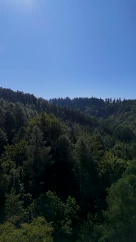 Aerial view of the Black Hills in South Dakota, USA. Coniferous forest and pine-covered mountains. Vertical video.
