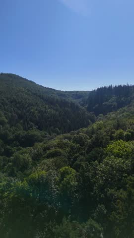 Aerial view of the Black Hills in South Dakota, USA. Coniferous forest and pine-covered mountains. Vertical video.