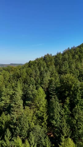 Aerial view of the Black Hills in South Dakota, USA. Coniferous forest and pine-covered mountains. Vertical video.