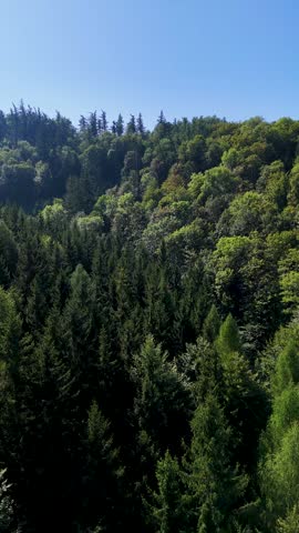 Aerial view of the Black Hills in South Dakota, USA. Coniferous forest and pine-covered mountains. Vertical video.
