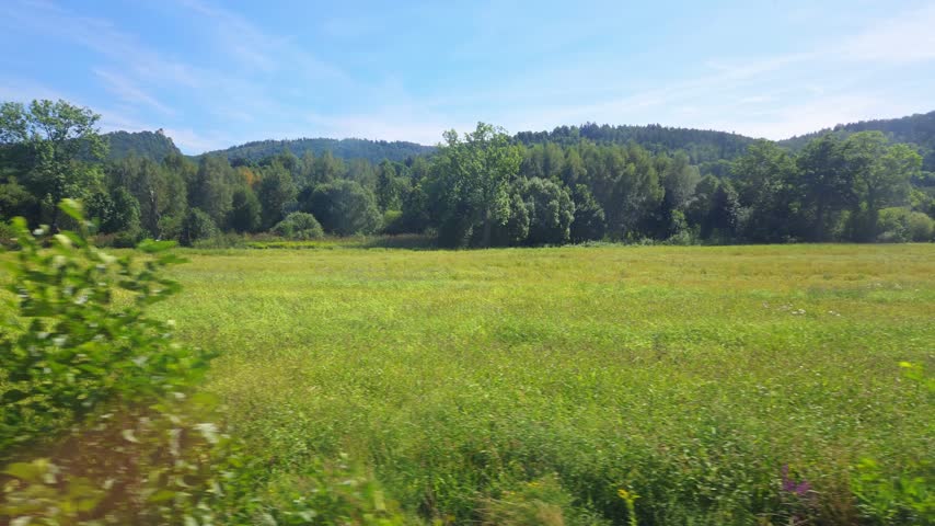 Sunlit meadow of yellow wildflowers and grasses moves past as tree covered hills and a blue summer sky remain visible across the rural valley