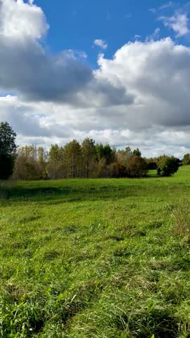 a field, a forest in the distance, a blue sky and clouds