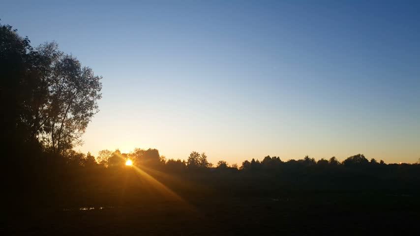 Sunset, dawn on the horizon of a dense forest. An orange ray of sunlight on the horizon, an authentic natural evening landscape