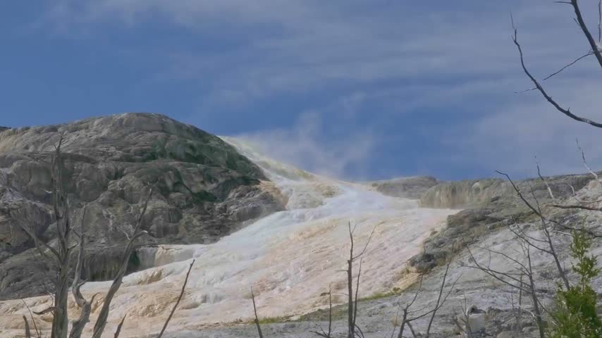 Steam rises from geothermal terrain under clear blue skies in Yellowstone. Rugged rocks contrast with soft, mineral-rich earth. Bare branches frame the steamy, earthy scene
