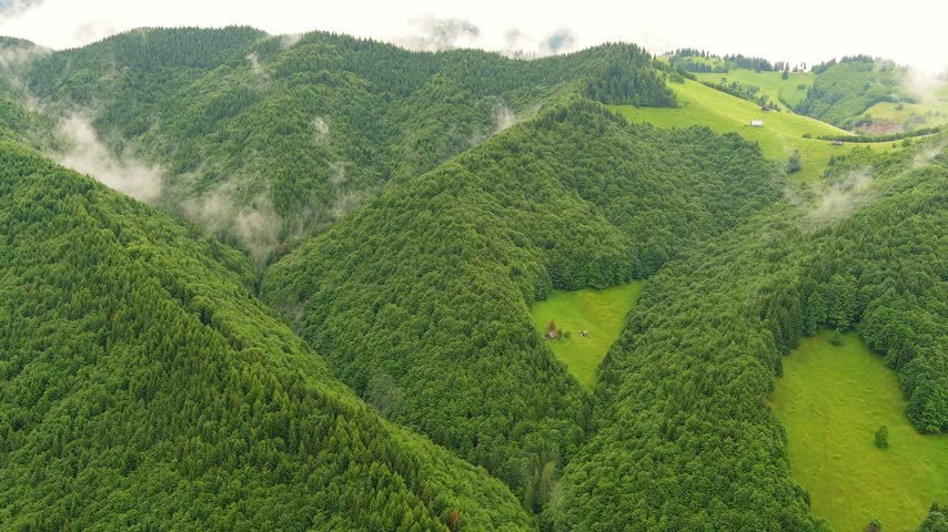 Aerial view of lush green forested mountains with rolling hills and patches of mist in the Carpathian landscape of Romania.