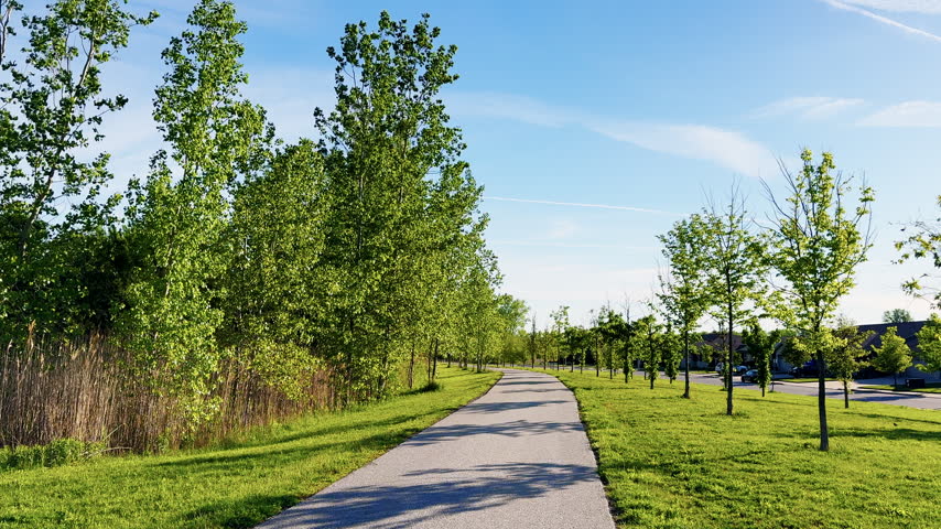 Smooth paved walking and cycling trail extends through a landscaped green park lined with young trees on a sunny day.
