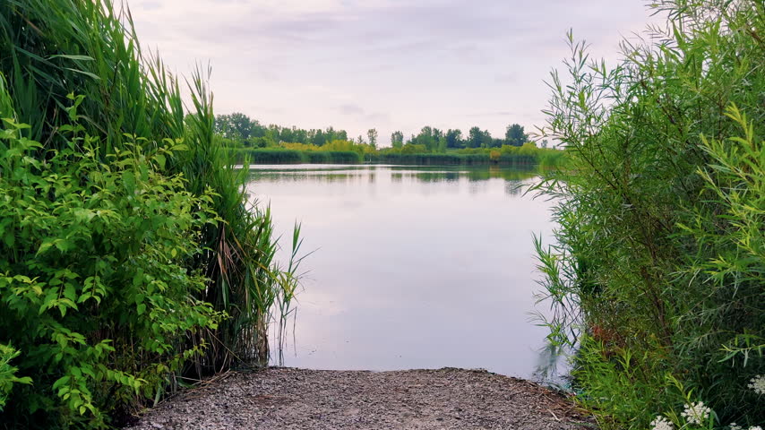 A narrow gravel access path opens through lush reeds and green vegetation toward a calm peaceful pond.