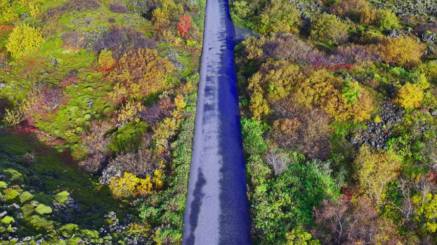 Aerial view of a road winding through a landscape filled with vibrant autumn colors in Iceland.