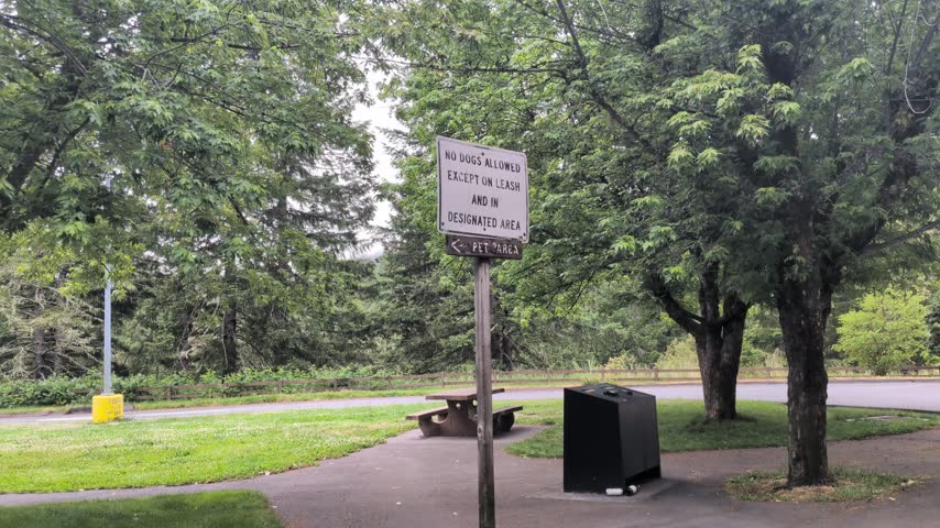 A park rules sign stands among lush green trees next to a paved pathway and picnic area, offering a calm, orderly woodland atmosphere on an overcast day.
