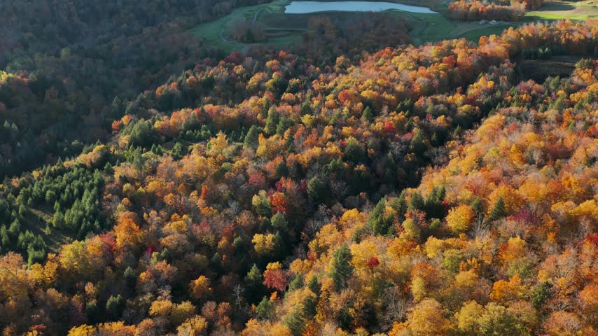Aerial view of vibrant autumn forest with colorful foliage and a small pond in the background in Vermont, United States.
