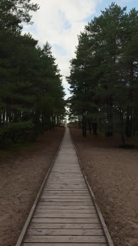 Wooden boardwalk path through pine forest under cloudy sky with tall trees and open sandy ground
