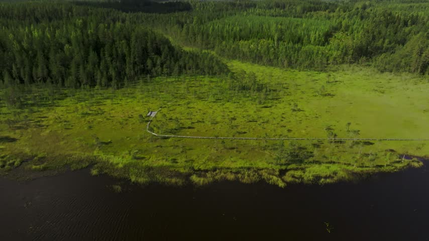 Aerial view of Koli national park featuring a wooden boardwalk winding through a vibrant green wetland, bordered by dense pine forests and a dark lake in Lieksa, North Karelia, Finland.