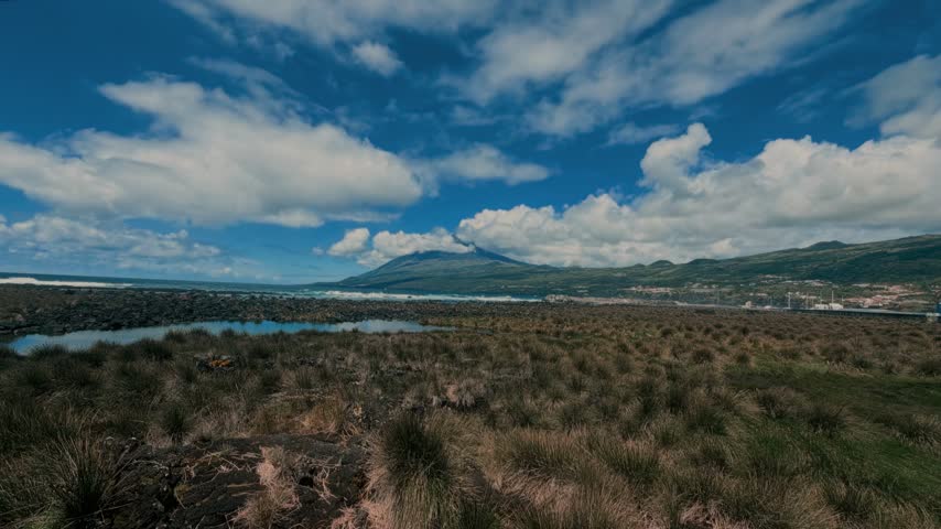 Vast coastal meadow with grassy terrain, pond, mountains, and blue sky