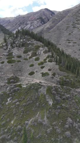 Peaceful wilderness scenery captured from above, showing a lake, river, forests and rugged mountain terrain.