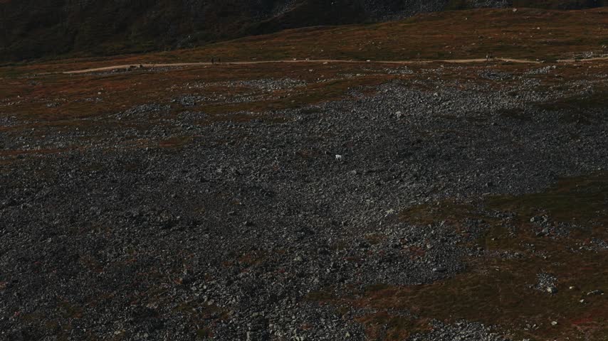 Aerial view of the rocky terrain and hiking path of Ounastunturi fell under a clear sky in Enontekio, Lapland, Finland.
