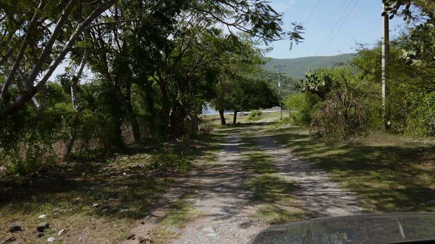 Dirt road passing through trees and dense vegetation, with utility poles, open land and green mountain landscape visible in background under clear sky