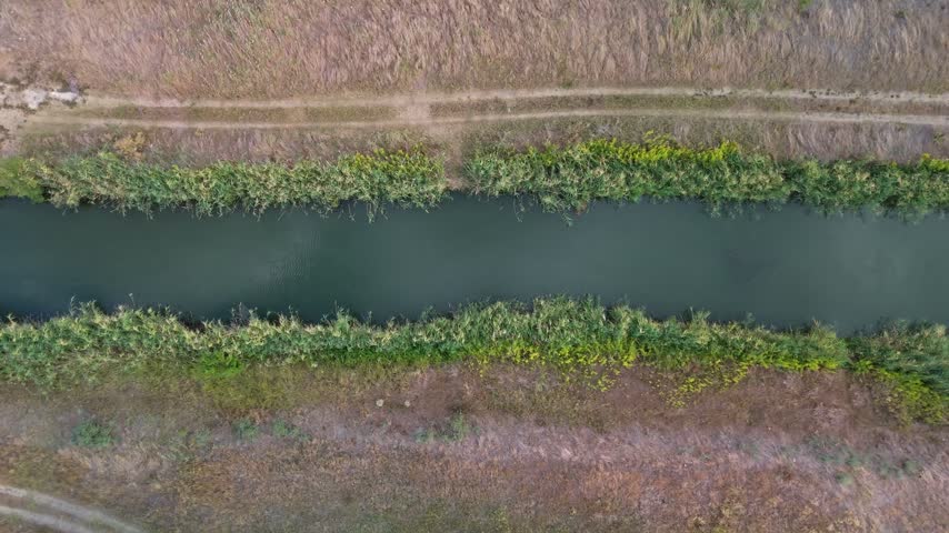 Aerial view of a narrow reed-lined canal beside dirt tracks and dry grassland near Újsolt, Hungary, showing calm water, dense bank vegetation and a solitary tree in late summer.
