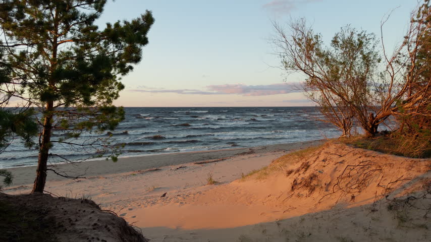 Sunlit sandy dune overlooking choppy lakeshore with pine trees and pastel evening sky