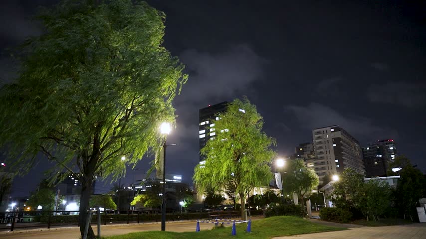A park by the Shinano River in Niigata City at night.