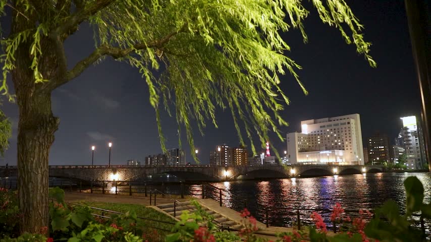 Bandai Bridge on a summer night and willow trees swaying in the breeze.