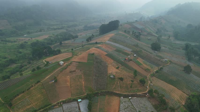 Aerial view of terraced agricultural fields on a misty hillside with small rural huts in Sukabumi, West Java, Indonesia.