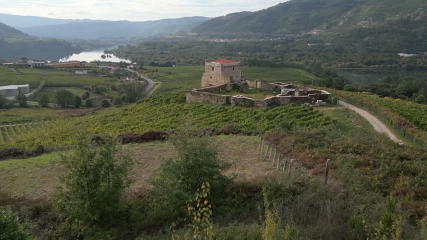 Torre de Puga amid cultivated fields in Toen, Ourense, Galicia, Spain, aerial