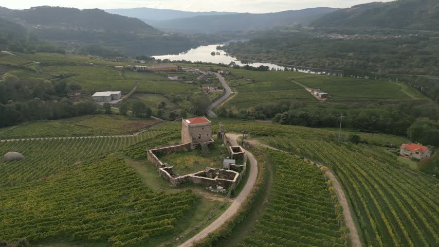 Torre de Puga and winding road amid fields in Toen, Ourense, Galicia, Spain, aerial