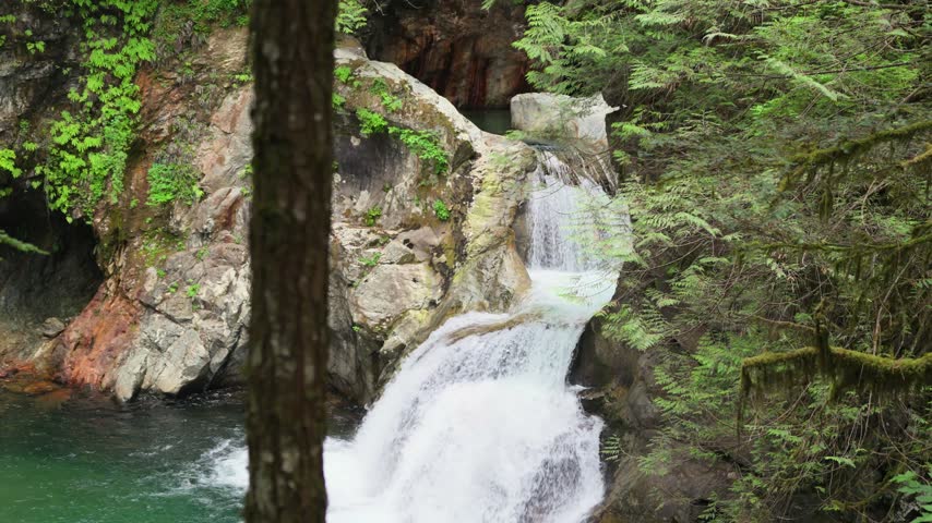 Water cascades over rocky falls into a clear pool, surrounded by lush green forest