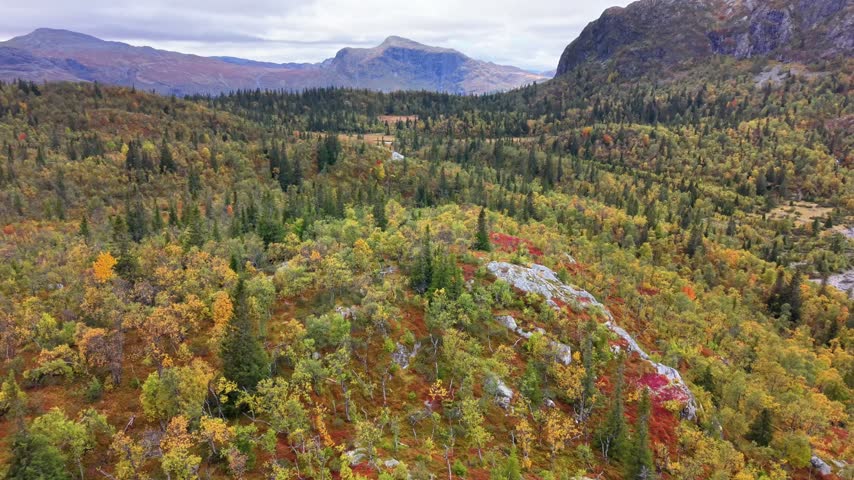 Aerial view of autumn forest landscape with rocky outcrops and colorful trees in Hemsedal, Buskerud, Norway.