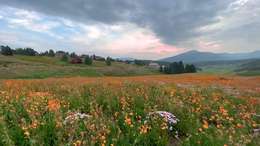 Stunning mountain landscape featuring a vibrant field of wildflowers under a cloudy sunset sky in Crested Butte, Colorado.