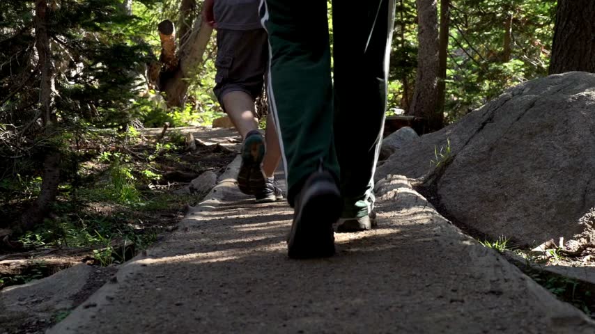 Hikers walk along a sunny, rugged forest path, surrounded by trees and a rocky landscape perfect for outdoor adventure.